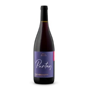 Pinot Nero Blauburgunder Riserva Alto Adige DOC Linea Puntay – Erste Neue