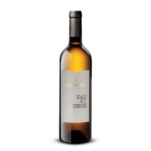 Sauvignon IGT Marca Trevigiana – Barbaran