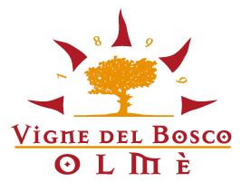 Vigne del Bosco Olmè